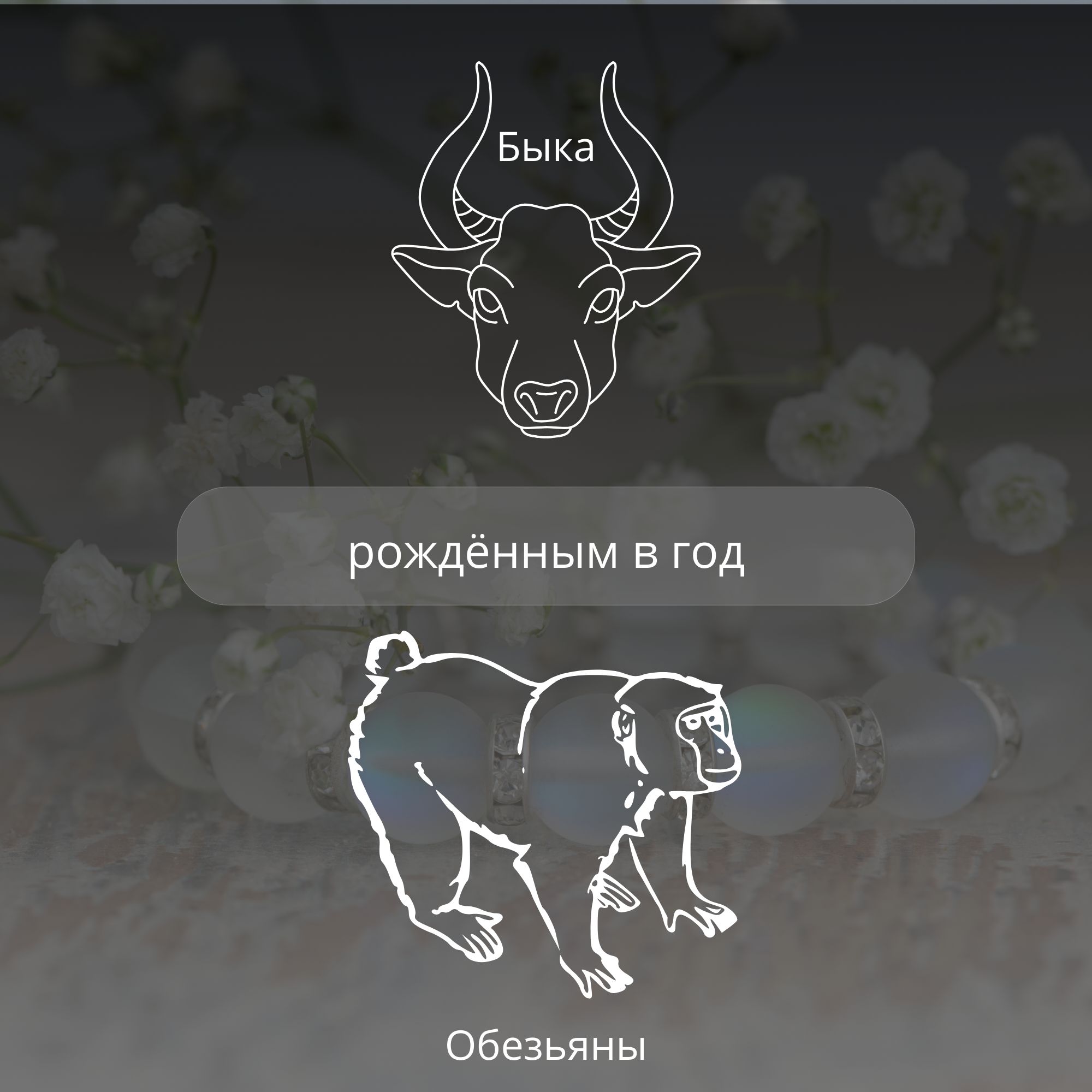 Браслет из белого матового опала с серебристыми ронделями, 10 мм — изображение 3